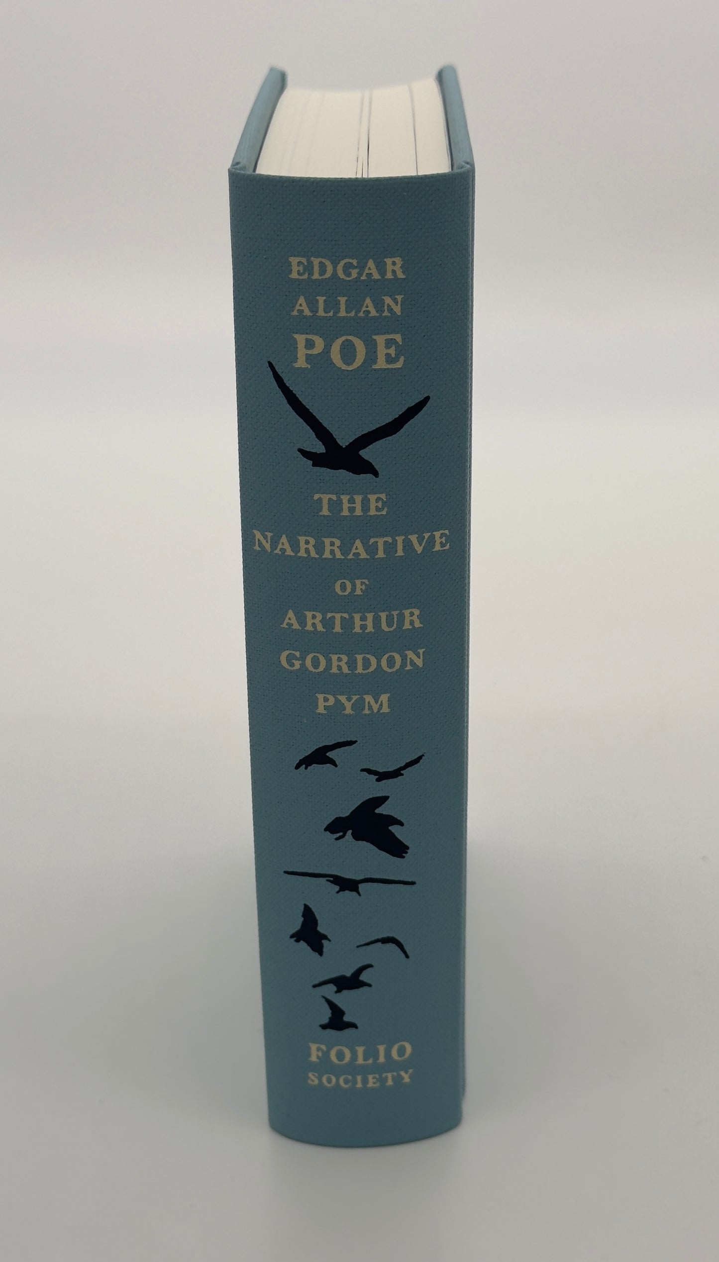 The Narrative of Arthur Gordon Pym by Edgar Allan Poe